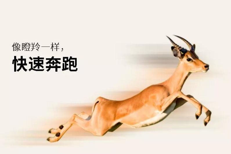 热烈祝贺索诺星获得瞪羚企业认定,以科技创新、商业模式创新为支撑进入高成长期