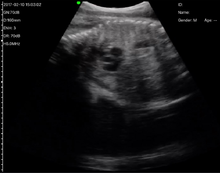 2023031619935231.jpg 2023031619935231.jpg