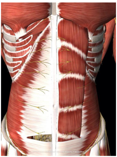 2023032514598553.png 1642581938172825.png