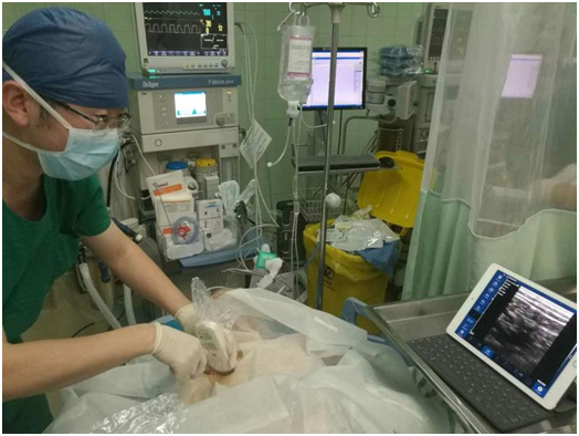 2023032521365678.png 1642582065111595.png