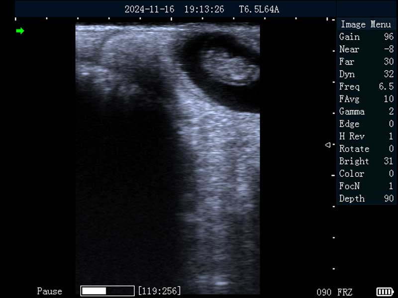 2024112118443266.jpg 40.jpg