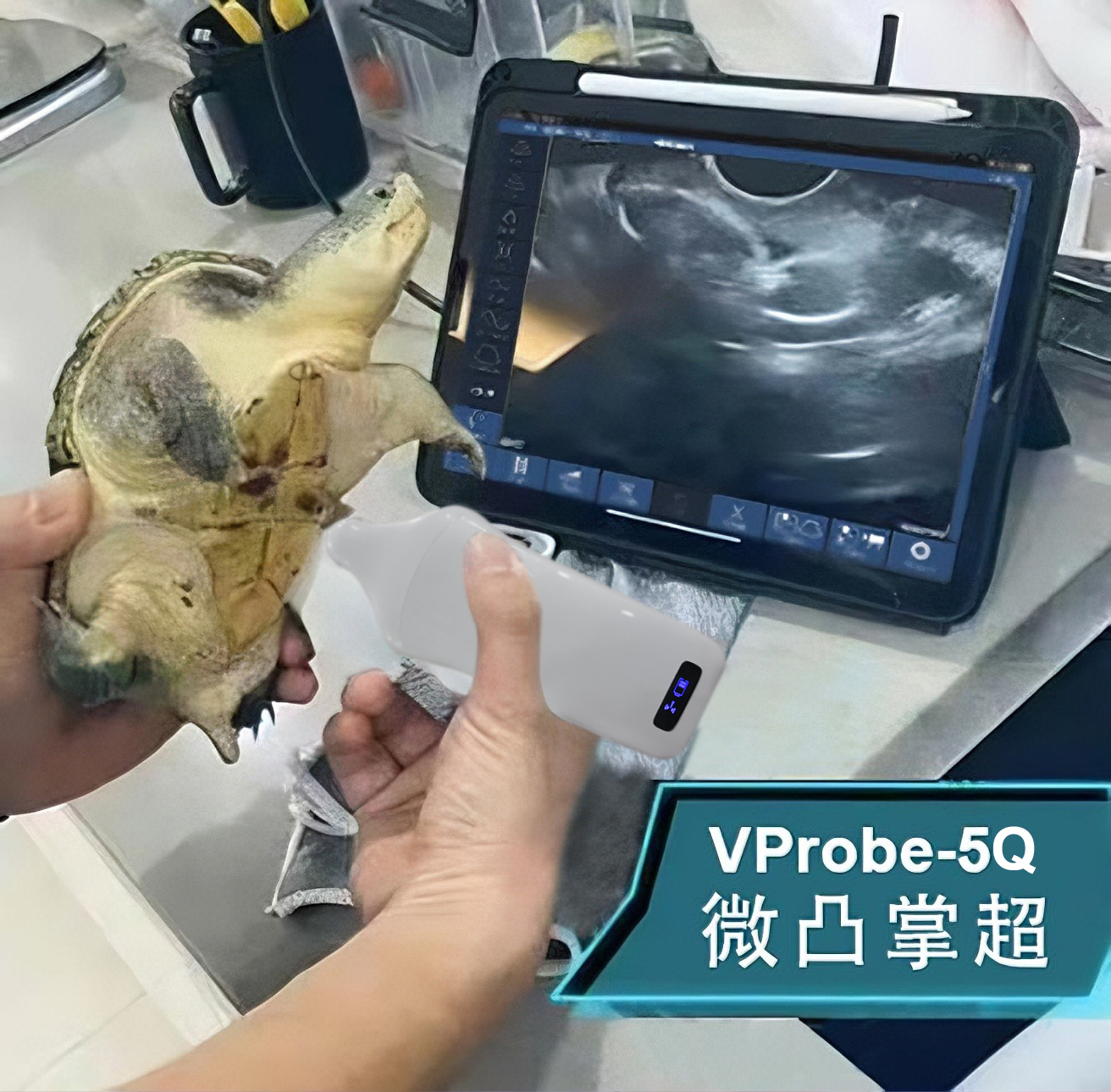 2025060568690065.jpg 2025060568690065.jpg